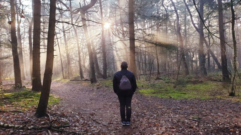 Mindful forest walk at Alma de Basto